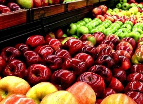 “Rusiyanın tətbiq etdiyi məhdudiyyətlərin aradan qaldırılması üçün çalışırıq” – AQTA