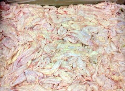Bu ölkədən gətirilən toyuq dərisində salmonella AŞKARLANDI