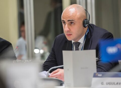 Gürcüstanın müxalif partiya sədri həbs olundu