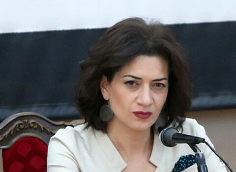 “Anna Akopyan Qarabağ xalqından bu qədər inciyibsə, bəs Mehriban Əliyevadan niyə incimir?” – “Hraparak”