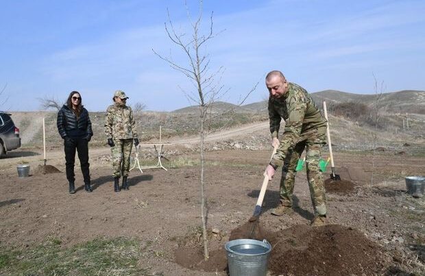 Prezidentlə xanımı Zəngilanda çinar əkdilər – FOTOLAR Prezidentlə xanımı Zəngilanda çinar əkdilər – FOTOLAR