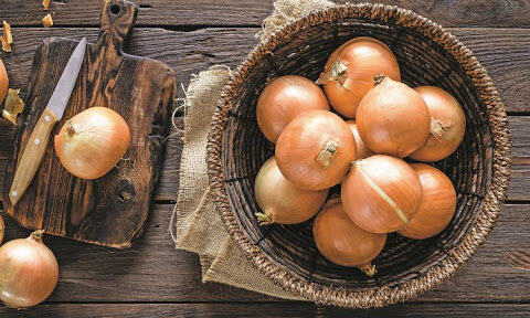 Bu ölkədə soğan 28 qəpikdir – İlginc rəqəmlər