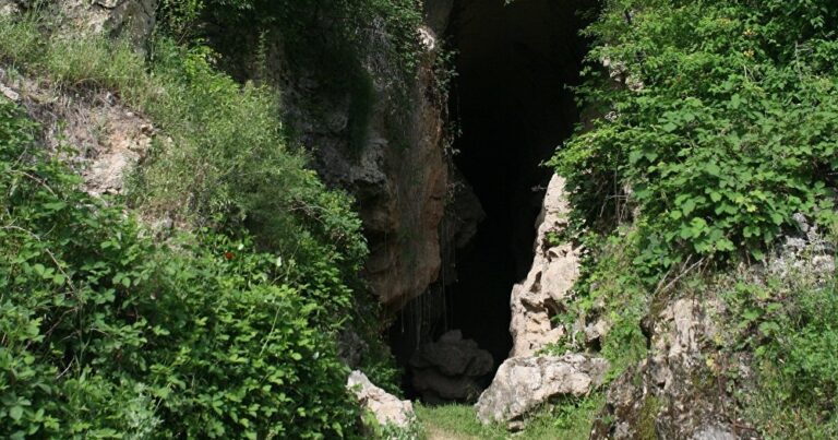 Azıx mağarasında tədqiqat işlərinin aparılması ilə bağlı işçi qrup yaradıldı – RƏSMİ