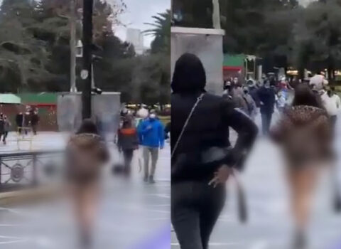 “Tarqovı”da alt paltarında gəzən qadın saxlanıldı – VİDEO/YENİLƏNİB