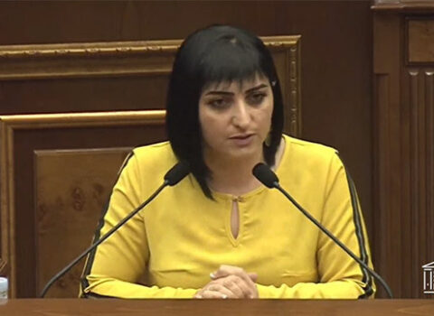 Tovmasyan: “Ermənistanda saxta demokratiya var” – FOTO
