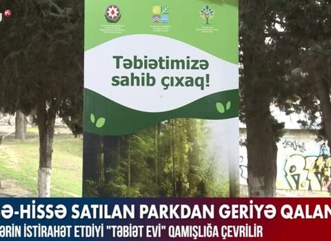 Hissə-hissə satılan parkdan geriyə qalanlar – VİDEO