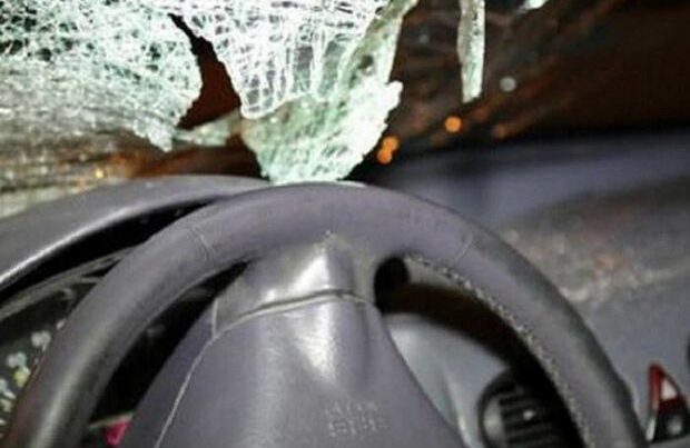 Goranboyda minik maşını ağaca çırpıldı – Sürücü xəsarət aldı