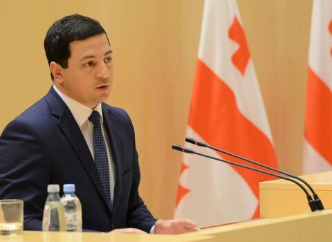 Gürcüstan parlamentinin sədri istefa verdi