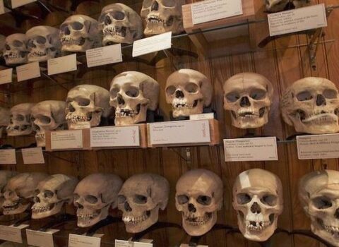 Avropa imperializminin əyani sübutu: Kəllə muzeyləri – FOTO