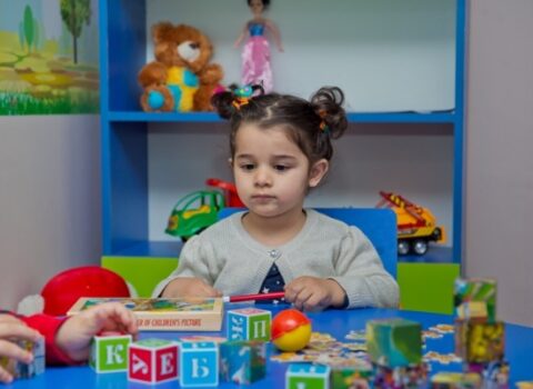 Bağçalara qəbul nə vaxt başlayacaq? – RƏSMİ AÇIQLAMA