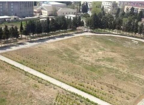 Sumqayıtda stadionun ortadan bölünməsi ilə bağlı araşdırma başladı
