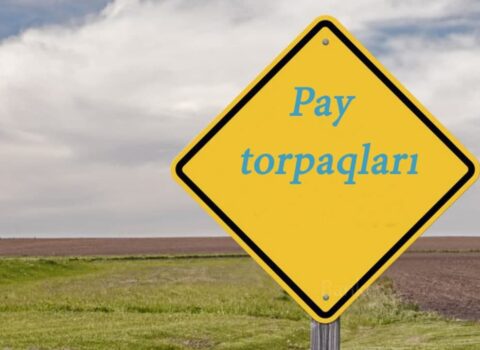 Pay torpaqları kütləvi satışa çıxarılır – SƏBƏBLƏR