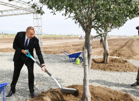 Prezident Ağdam şəhər meşə-parkında ağac əkdi – FOTOLAR + YENİLƏNİB