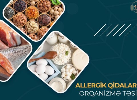 Allergik qidaların orqanizmə təsiri – MƏQALƏ