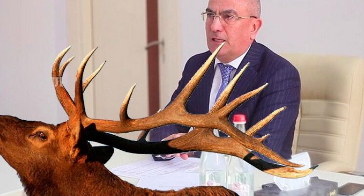 Alimpaşa Məmmədovun marallarından daha hansı məmurda var? Alimpaşa Məmmədovun marallarından daha hansı məmurda var?