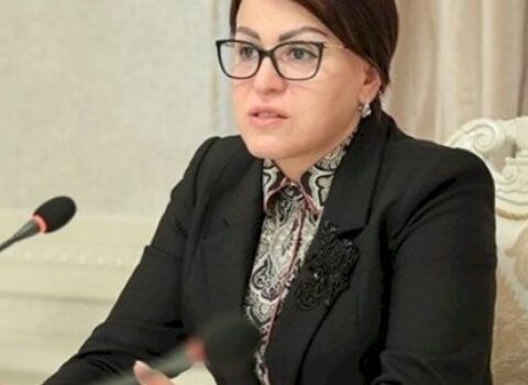 İradə Gülməmmədovanın 1.3 milyon ödəyəcəyi şirkət kimindir? – Şübhəli tender