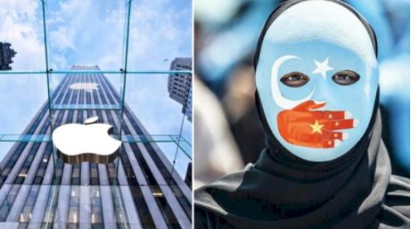 Uyğur türklərini zorla işlədərək “iPhone” istehsal edirlər – ARAŞDIRMA