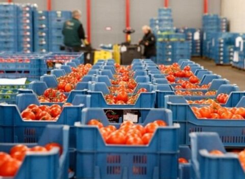Şəmkirdə 4 ton pomidor 75 manata satıldı – Bazar ələ keçirilib