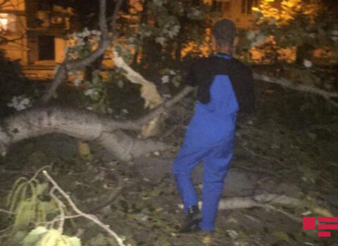 Mingəçevirdə güclü külək fəsadlar törətdi – FOTO