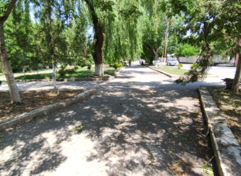 Parkdan oturacaq və idman aləti oğurlandı