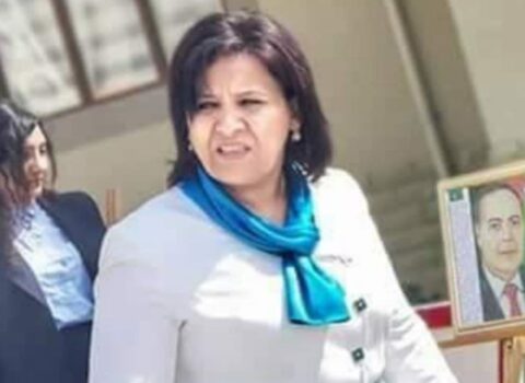 Təhsil Nazirliyi Abşeronda qalmaqallı direktor barəsində araşdırma aparır – FOTO/SƏS YAZISI