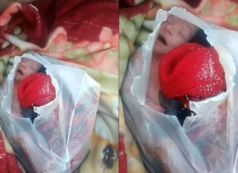 Sumqayıtda zibil qabından tapılan körpənin görüntüləri yayıldı – VİDEO – YENİLƏNİB