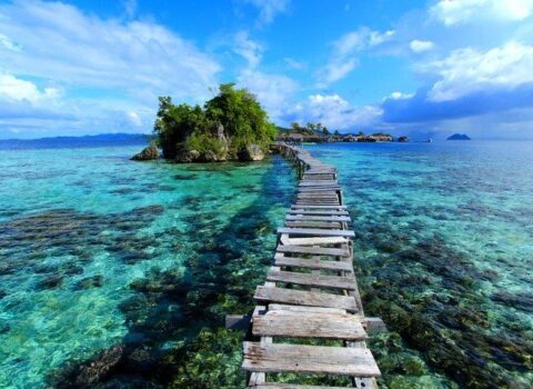 Sulavesi adasının sirli meqalitləri – İndoneziya