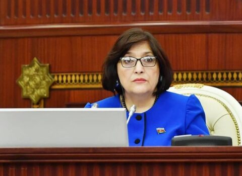 Milli Məclisin 53 deputatı Sahibə Qafarovaya müraciət etdi