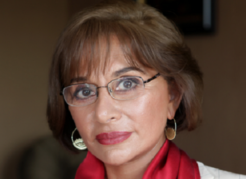 Leyla Şıxlinskaya məhkəməyə VERİLDİ
