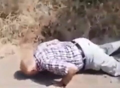 Keçmiş icra başçısı doğma rayonunda iməkləyərək torpağı öpdü – VİDEO