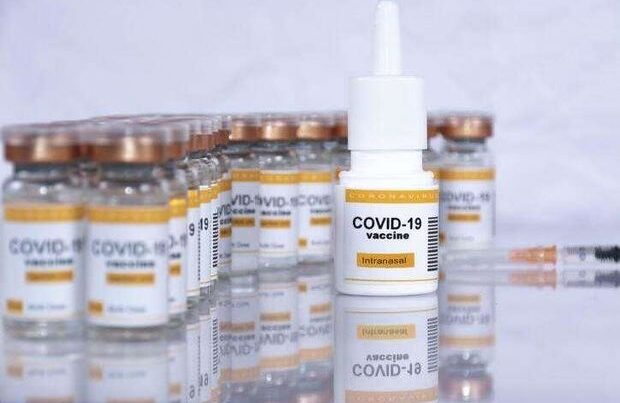 Bu peyvəndi qəbul edənlər COVID-19-a yoluxmayacaqlar Bu peyvəndi qəbul edənlər COVID-19-a yoluxmayacaqlar