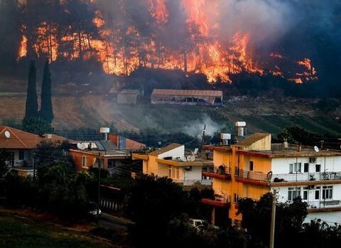 Bodrum və Muğladakı meşə yanğınlarının peyk görüntüləri – SON VƏZİYYƏT
