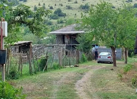 Gürcüstan DTX İŞİD-lə əlaqəli beş nəfəri saxladı
