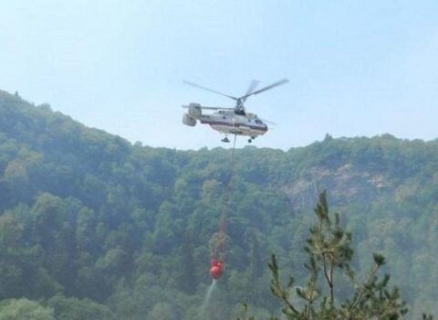 Qəbələdə meşə yanır: İki helikopter cəlb olundu – VİDEO