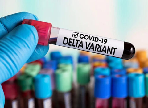 “Delta” ştammı öz-özünü MƏHV EDİR