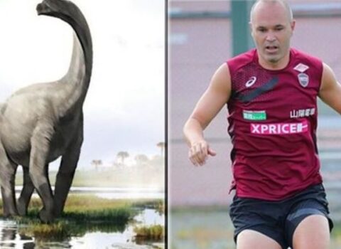 İspaniyada izləri tapılan dinozavra məşhur futbolçunun ADI VERİLDİ