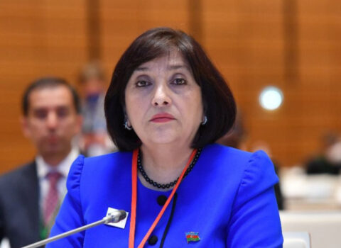 Sahibə Qafarovadan deputatlara irad:  “Sizə qulaq asdıqca adamı dəhşət bürüyür“