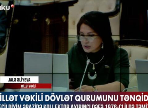 Deputat dövlət qurumunu tənqid etdi – VİDEO