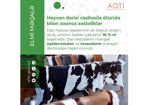 Heyvan dərisi vasitəsilə ötürülə bilən zoonoz xəstəliklər