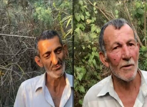 Salyanda Kürün sahilində narkotik yetişdirən şəxslər tutuldu