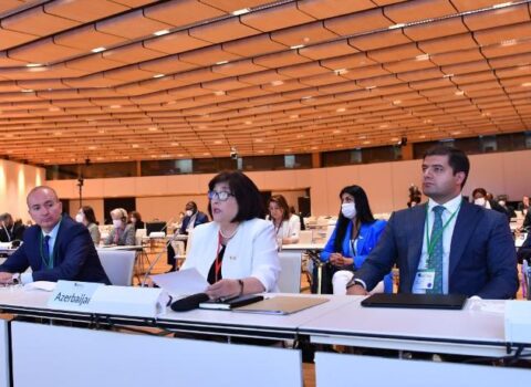 Sahibə Qafarovadan Vyanada Ermənistan spikerinin iddialarına CAVAB