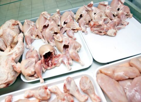 Bu ölkələrdən toyuq əti və yumurta gətirilməsinə QADAĞA QOYULDU
