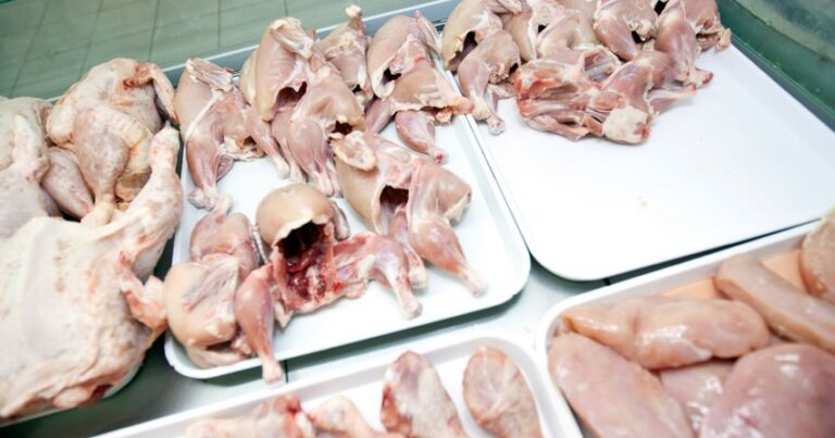 Bu ölkələrdən toyuq əti və yumurta gətirilməsinə QADAĞA QOYULDU Bu ölkələrdən toyuq əti və yumurta gətirilməsinə QADAĞA QOYULDU