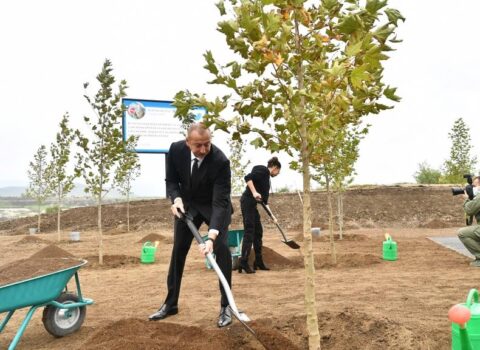 Prezident və birinci xanım Füzulidə ağac əkdilər – FOTOLAR