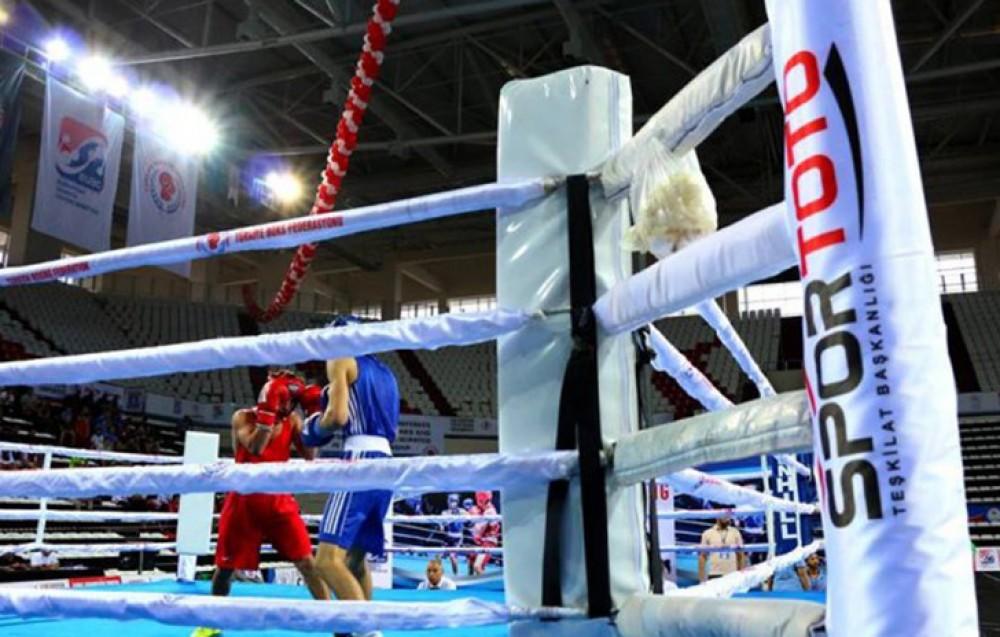 Avropa çempionatı: Azərbaycanın daha iki boksçusu qələbə qazandı