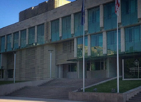 “Dövlət çevrilişi ilə bağlı planlar olub” – Gürcüstan DTX