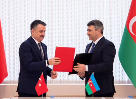 Qardaşların torpaqda şərikli “çörəyi” – Türkiyə təcrübəsi bizə nə verəcək?