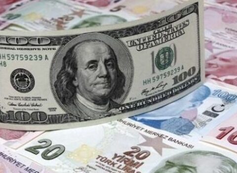 Lirə niyə ucuzlaşır? – Türkiyəli iqtisadçı şərh etdi