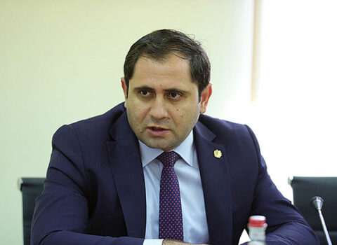 “Ermənistanın heç bir ölkəyə qarşı ərazi iddiası yoxdur” – Papikyan