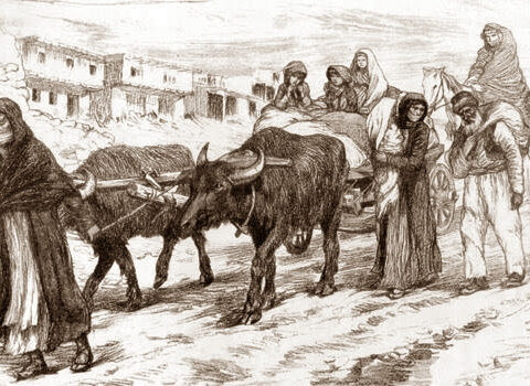 “Bizim tariximizdə qadınlarımız haqqında da heç bir şey deyilmir” – Erməniliyi ifşa edən əsər